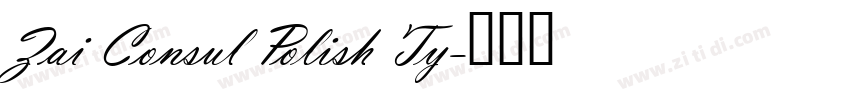 Zai Consul Polish Ty字体转换